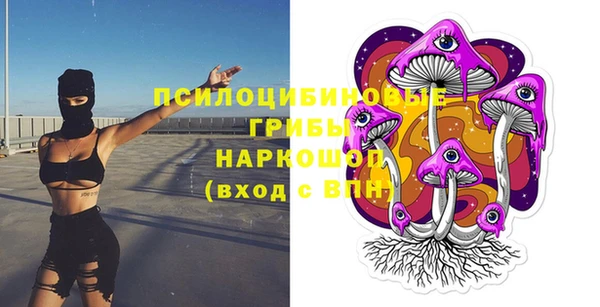метадон Дмитриев