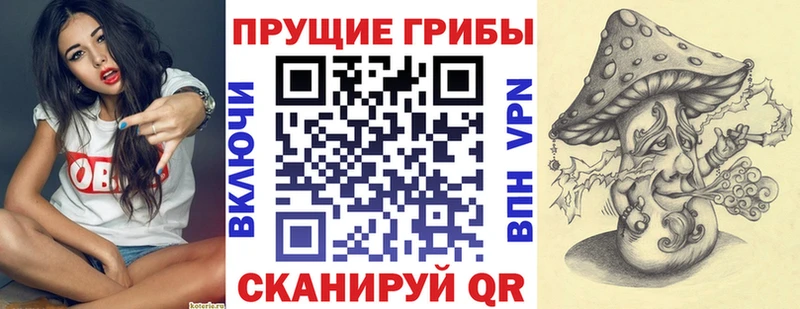 Галлюциногенные грибы Cubensis  наркошоп  Окуловка 